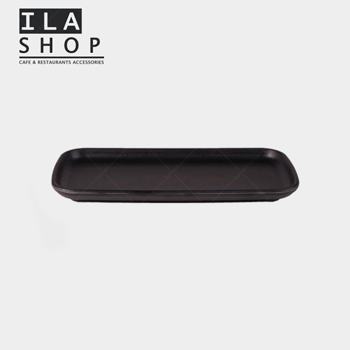 دیس کوچک تورزن 333 یک عددی ایلا - 2
